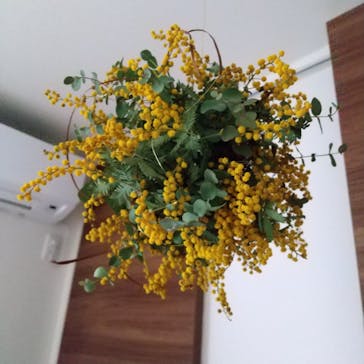 アトリエひわだやに投稿された画像（2022/3/12）