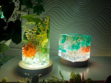 ずこうしつ〜sugamo〜に投稿された画像（2022/3/12）