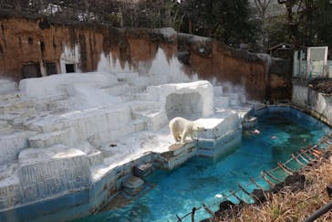 神戸アンパンマンこどもミュージアム＆モールに投稿された画像（2022/3/12）