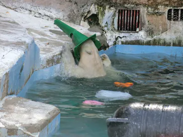 天王寺動物園に投稿された画像（2022/3/12）