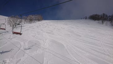 Hakuba47ウィンタースポーツパークに投稿された画像（2022/3/12）