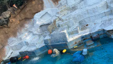 天王寺動物園に投稿された画像（2022/3/12）