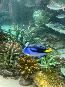 名古屋港水族館に投稿された画像（2022/3/12）