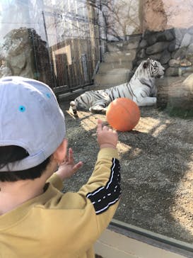 東武動物公園に投稿された画像（2022/3/12）
