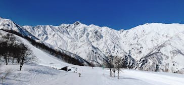 Hakuba47ウィンタースポーツパークに投稿された画像（2022/3/12）