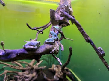 サンシャイン水族館に投稿された画像（2022/3/12）