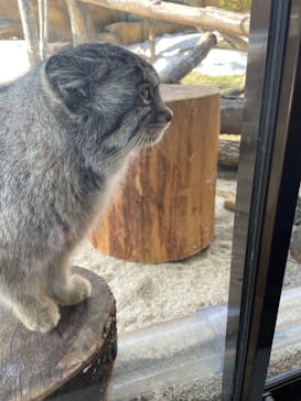 那須どうぶつ王国に投稿された画像（2022/3/13）