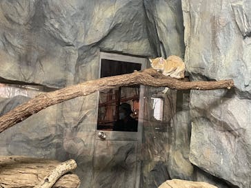 那須どうぶつ王国に投稿された画像（2022/3/13）