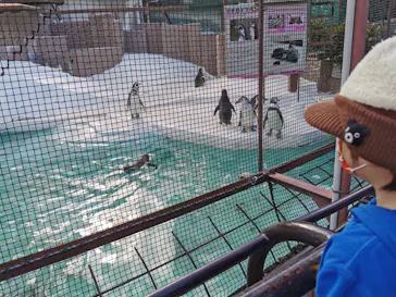 天王寺動物園に投稿された画像（2022/3/13）