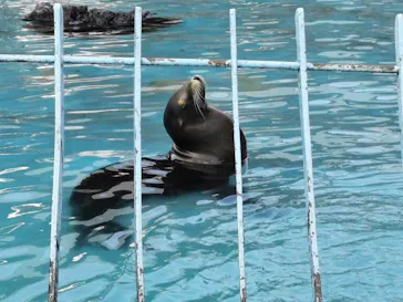天王寺動物園に投稿された画像（2022/3/13）