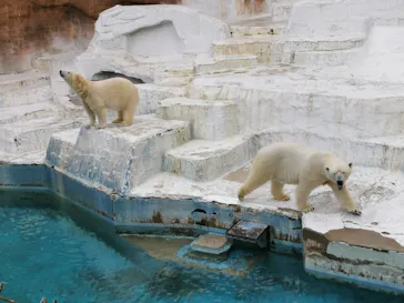 天王寺動物園に投稿された画像（2022/3/13）