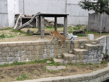 天王寺動物園に投稿された画像（2022/3/13）