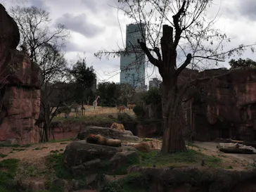 天王寺動物園に投稿された画像（2022/3/13）