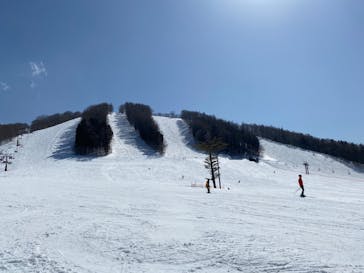 戸隠スキー場に投稿された画像（2022/3/13）