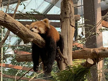 神戸どうぶつ王国に投稿された画像（2022/3/13）