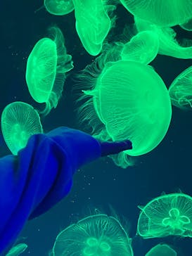 名古屋港水族館に投稿された画像（2022/3/13）