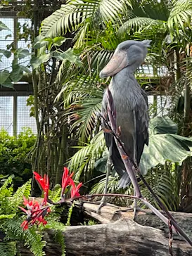 神戸どうぶつ王国に投稿された画像（2022/3/13）