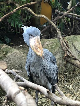 那須どうぶつ王国に投稿された画像（2022/3/13）