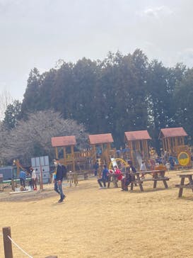 まかいの牧場に投稿された画像（2022/3/13）