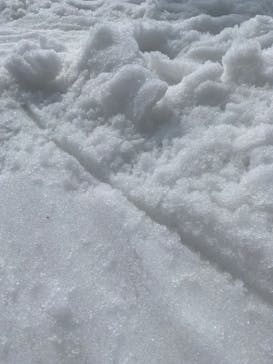 つがいけマウンテンリゾートに投稿された画像（2022/3/13）