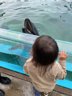 横浜・八景島シーパラダイスに投稿された画像（2022/3/13）