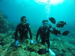 DIVING-SHOP SUNSに投稿された画像（2022/3/13）
