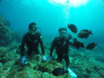 DIVING-SHOP SUNSに投稿された画像（2022/3/13）