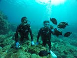 DIVING-SHOP SUNSに投稿された画像（2022/3/13）