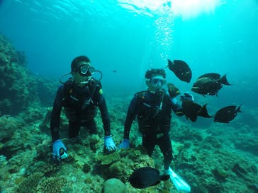 DIVING-SHOP SUNSに投稿された画像（2022/3/13）