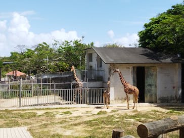沖縄こどもの国に投稿された画像（2022/3/13）
