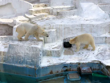 天王寺動物園に投稿された画像（2022/3/13）