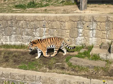 天王寺動物園に投稿された画像（2022/3/13）