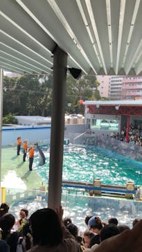 しながわ水族館に投稿された画像（2022/3/13）
