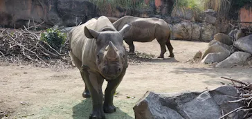 天王寺動物園に投稿された画像（2022/3/13）