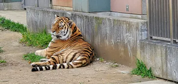 天王寺動物園に投稿された画像（2022/3/13）