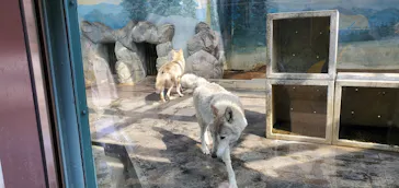 天王寺動物園に投稿された画像（2022/3/13）