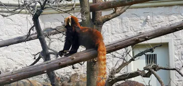 天王寺動物園に投稿された画像（2022/3/13）