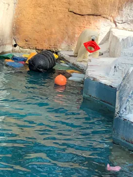 天王寺動物園に投稿された画像（2022/3/13）
