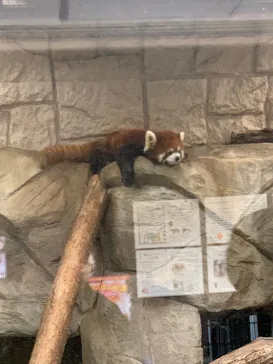 天王寺動物園に投稿された画像（2022/3/13）