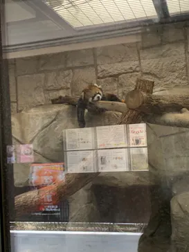 天王寺動物園に投稿された画像（2022/3/13）