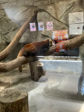 天王寺動物園に投稿された画像（2022/3/13）