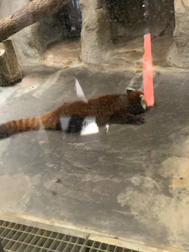 天王寺動物園に投稿された画像（2022/3/13）