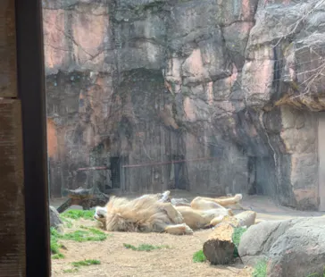 天王寺動物園に投稿された画像（2022/3/13）