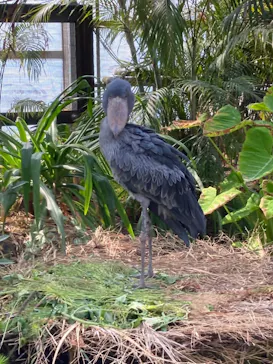 神戸どうぶつ王国に投稿された画像（2022/3/13）