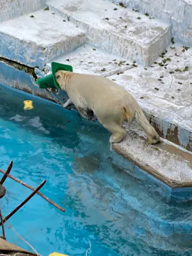天王寺動物園に投稿された画像（2022/3/13）
