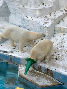 天王寺動物園に投稿された画像（2022/3/13）
