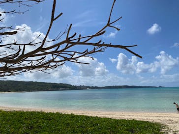 青の洞窟専門店　沖縄ダイビングショップ和に投稿された画像（2022/3/13）