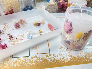 ずこうしつ〜sugamo〜に投稿された画像（2022/3/13）