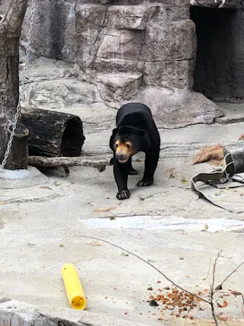 天王寺動物園に投稿された画像（2022/3/13）