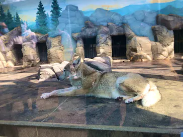 天王寺動物園に投稿された画像（2022/3/13）